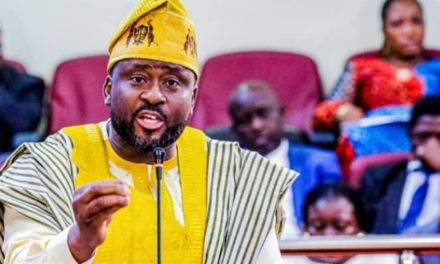 I did what I felt was right – Desmond Elliot defends his makeshift cleansing project