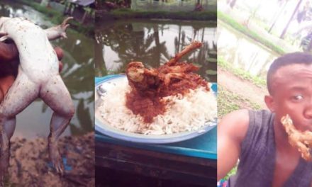 Nigerian man makes stew with Frog meat