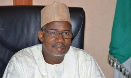 Bauchi government sets up judicial panel of inquiry on police brutality