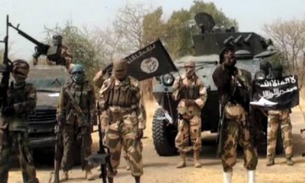 Boko Haram as at 2007 nominated a commissioner to Borno state cabinet – Nigerian Journalist, David Hundeyin