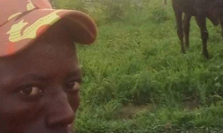 Herdsmen hijack a woman’s Facebook account after robbing her